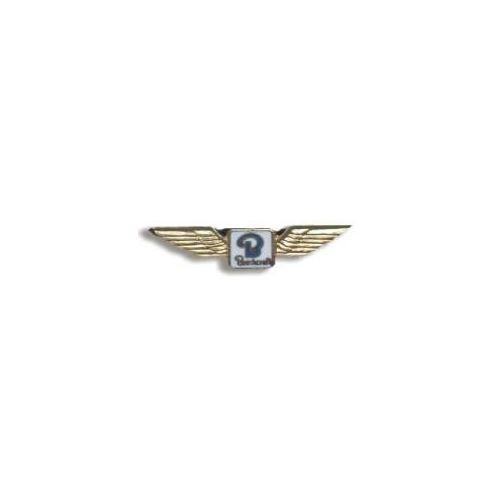 Beechcraft Wings Pin