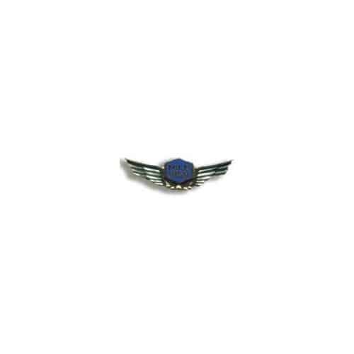 Mile High Pin