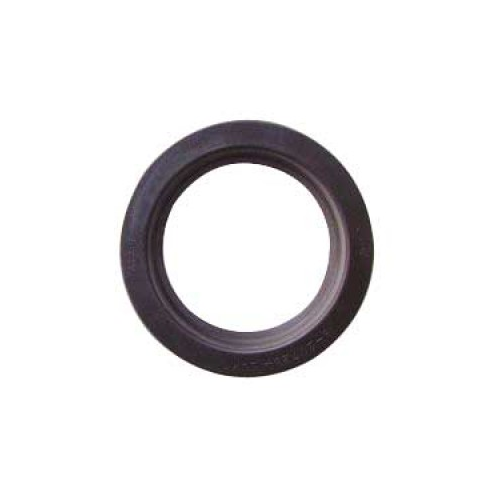 Crank Seal 13792