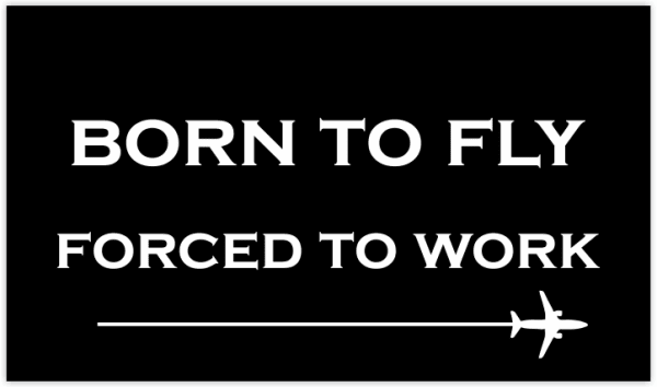 Novah Born to Fly Forced to Work Sticker