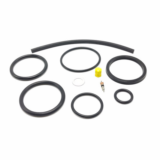 Nose Strut Seal Kit  |  PPPA31NSSK
