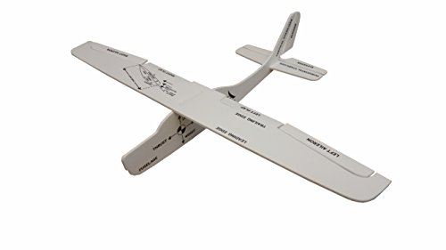 ProFlight CFI Flyer Training Model – Flight Control Training Aid