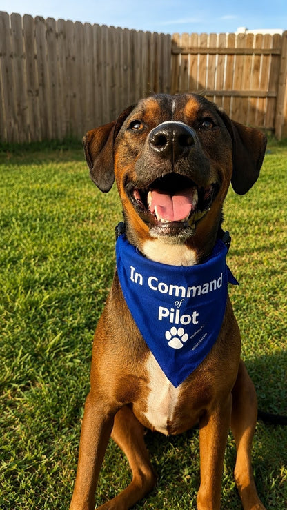 Mutt Muffs "In Command of Pilot" Bandana