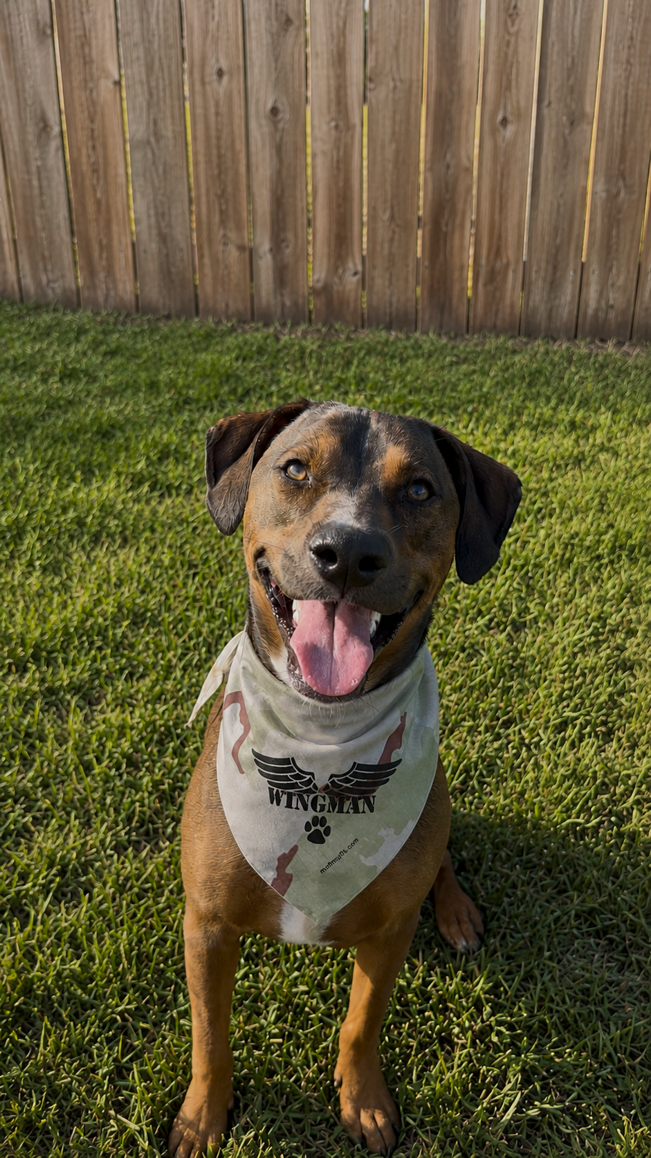 Mutt Muffs "WINGMAN" Bandana